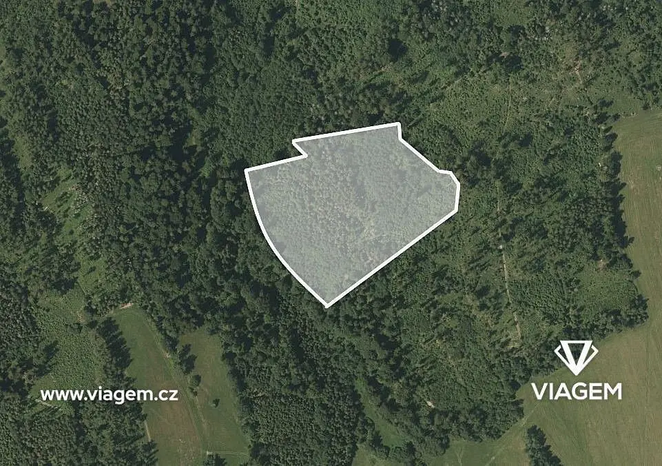Prodej pozemku 19116 m², Spálov