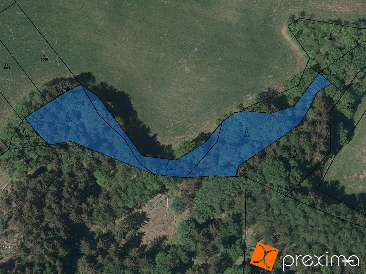 Prodej pozemku 4299 m², Žďár u Kumburku · Syřenov
