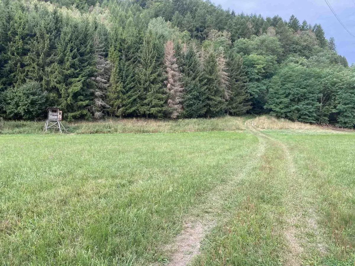 Prodej pozemku 2289 m², Vranová · Vranová Lhota