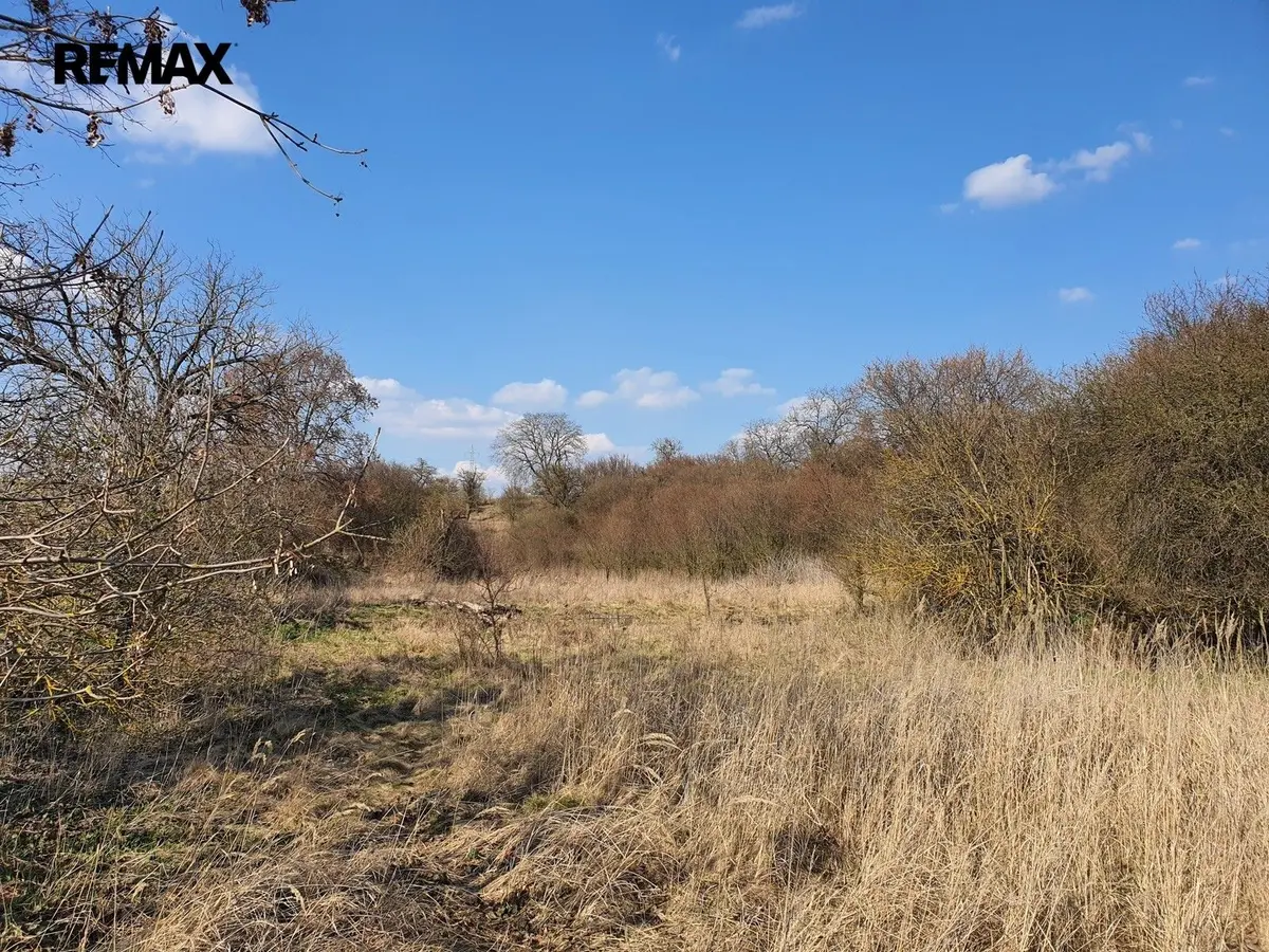 Prodej pozemku 9203 m², Němčany