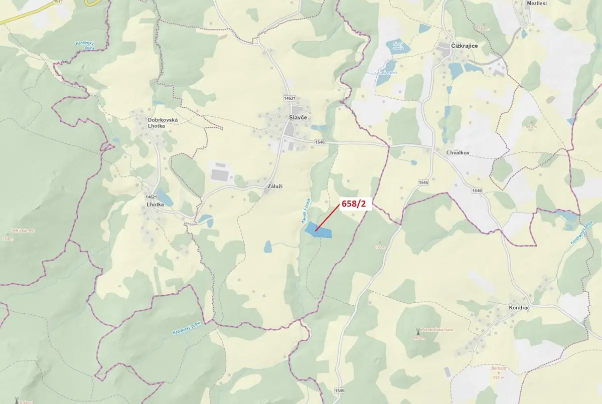 Prodej pozemku 26622 m², Slavče u Trhových Svinů · Slavče