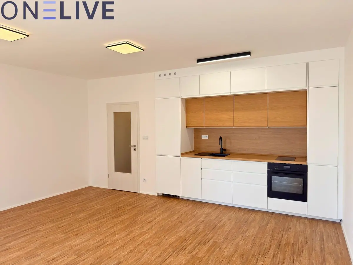 Pronájem bytu 1+kk 36 m², Železná · Plzeň
