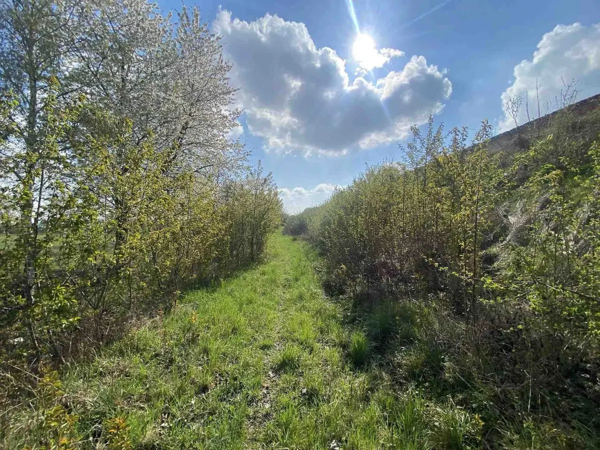 Prodej pozemku 3560 m², Černčice u Loun · Černčice