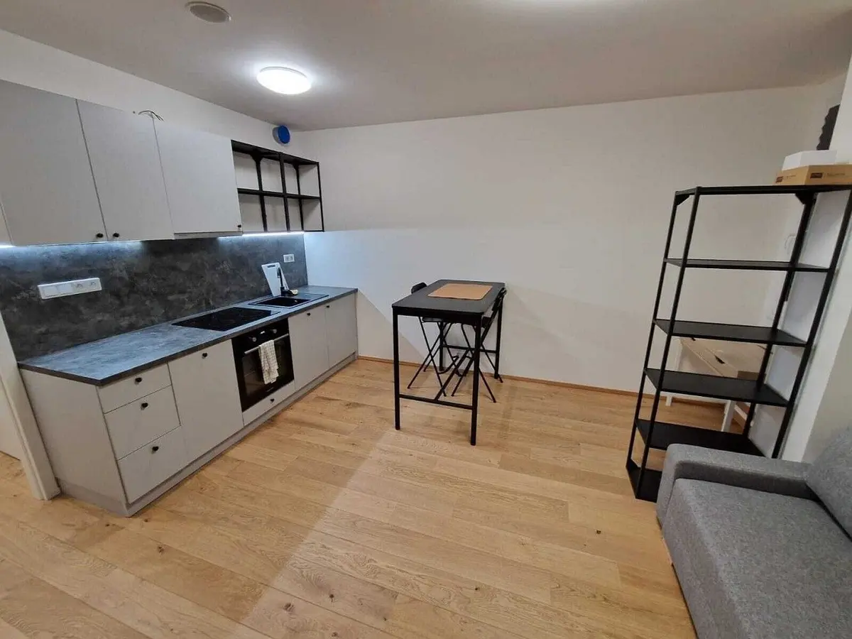Pronájem bytu 1+kk 26 m², Perucká · Vinohrady