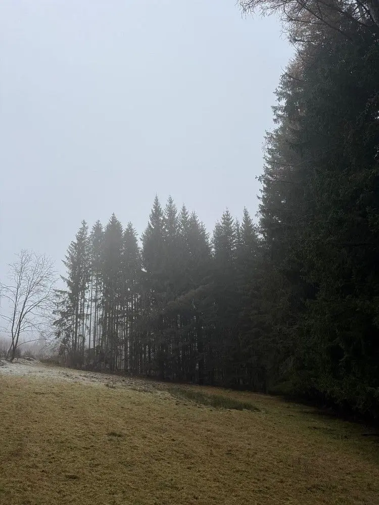 Prodej pozemku 24200 m², Františkov nad Ploučnicí