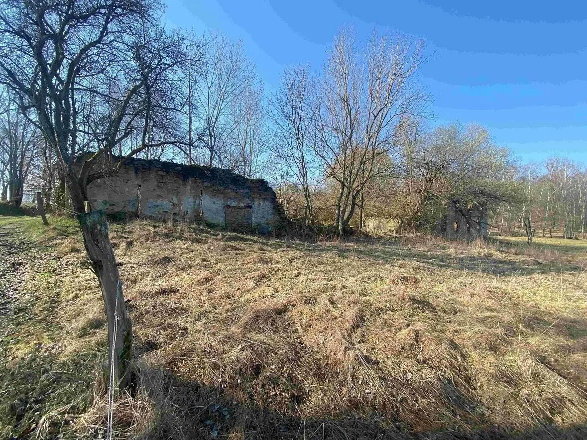Prodej pozemku 11107 m², Všeměřice · Dolní Dvořiště
