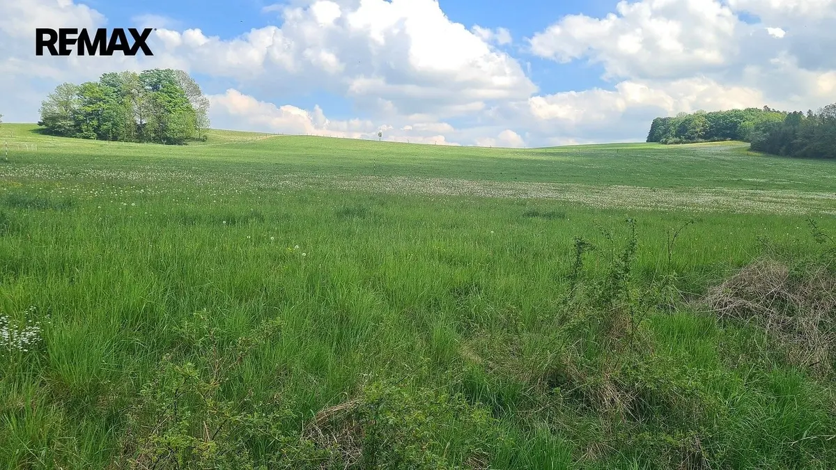Prodej pozemku 7058 m², Čížkov u Blovic · Čížkov