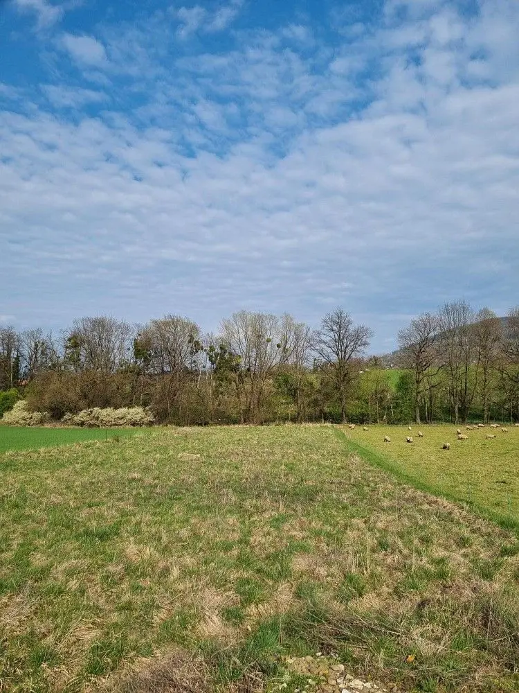 Pronájem pozemku 850 m², Štramberk
