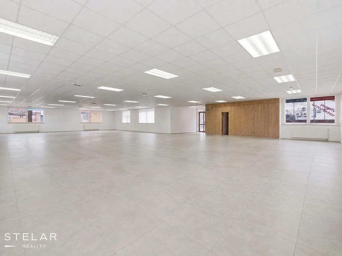 Pronájem komerčního prostoru 160 m², Rybářská · Opava-Předměstí · Opava