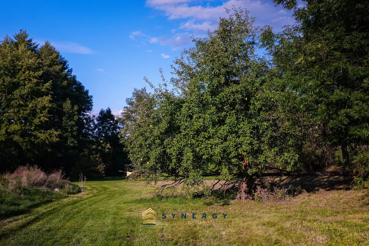 Prodej pozemku 7684 m², Milešov u Lovosic · Velemín