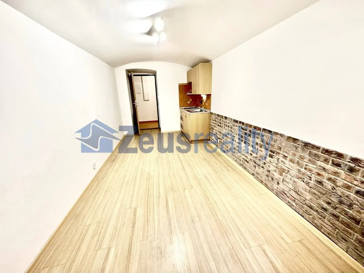 Pronájem komerčního prostoru 25 m², Mánesova · Vinohrady