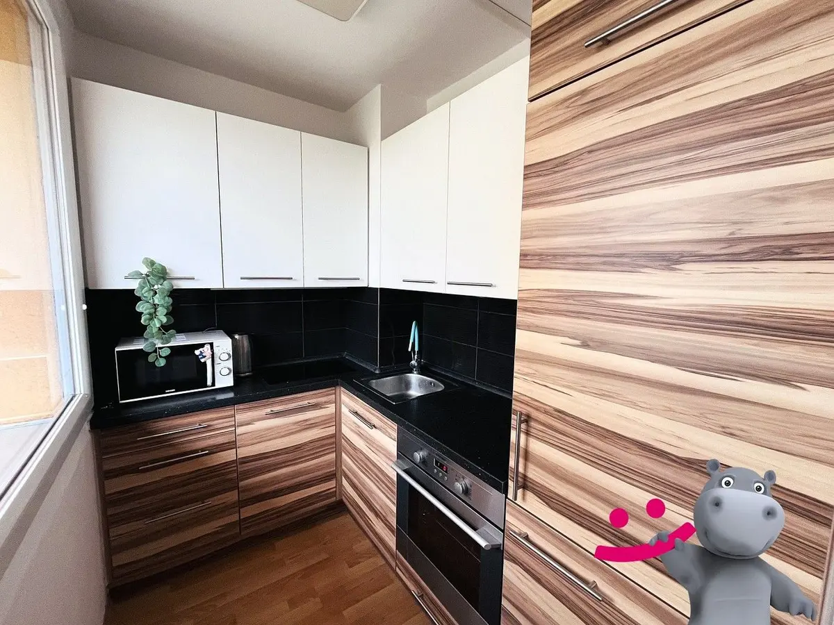 Pronájem bytu 1+kk 35 m², Čs. armády · Kladno