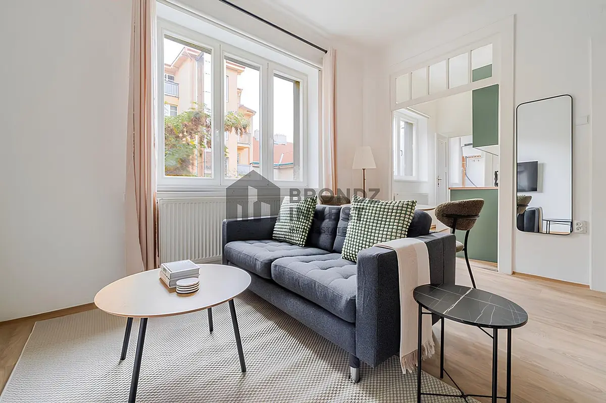 Pronájem bytu 1+kk 40 m², Růžová · Nové Město