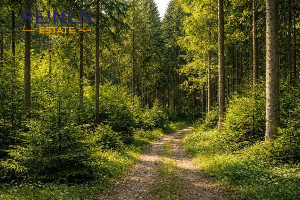 Prodej pozemku 24686 m², Vsetín