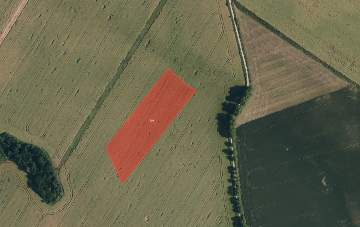 Prodej pozemku 13981 m², Babice u Lesonic · Babice