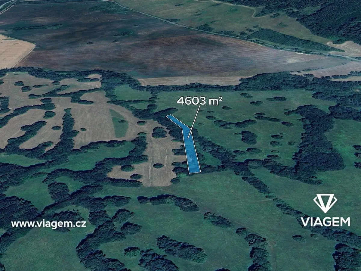 Prodej pozemku 592 m², Javorník nad Veličkou · Javorník