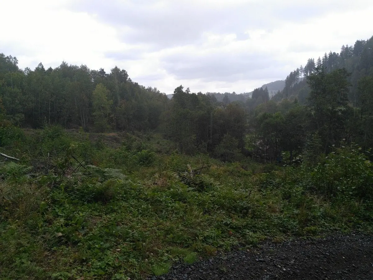 Prodej pozemku 7879 m², Košťálov