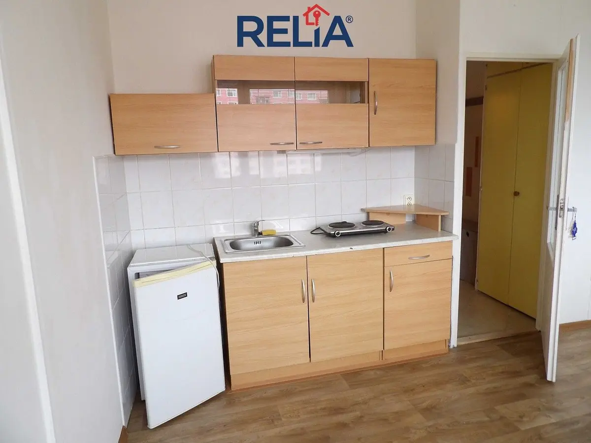 Pronájem bytu 1+kk 21 m², Ruprechtice · Liberec