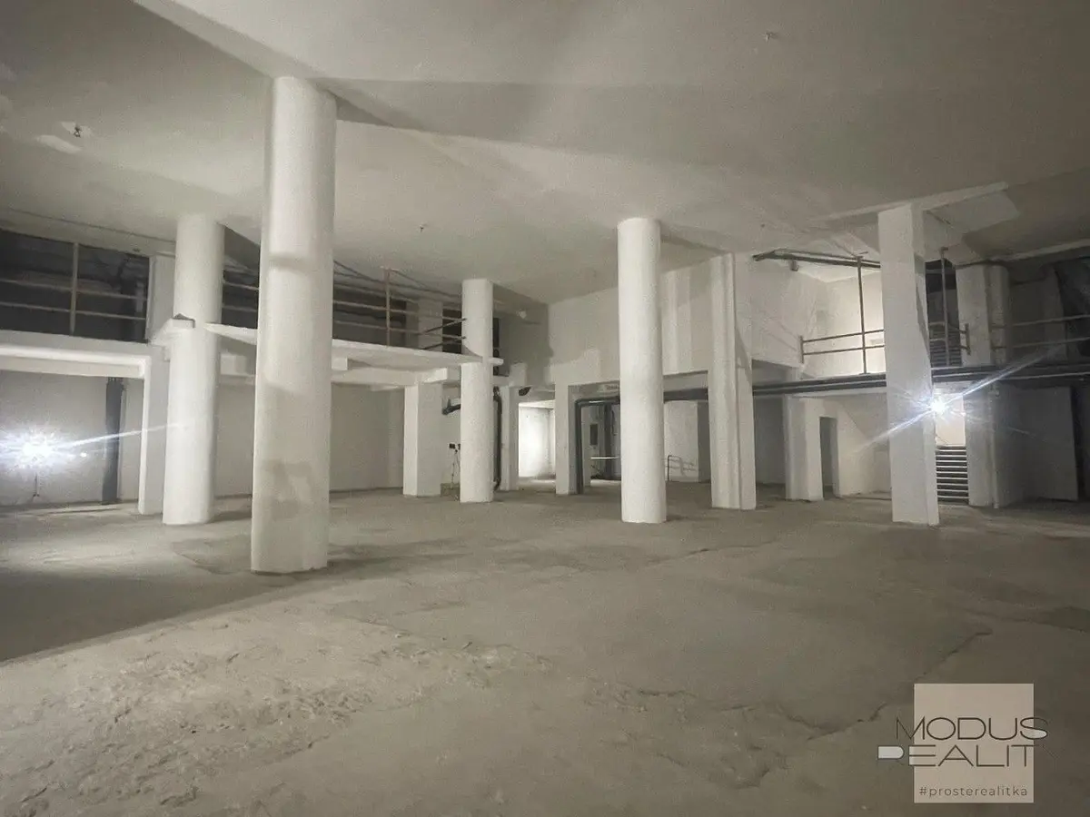 Pronájem komerčního prostoru 1000 m², Opletalova · Nové Město