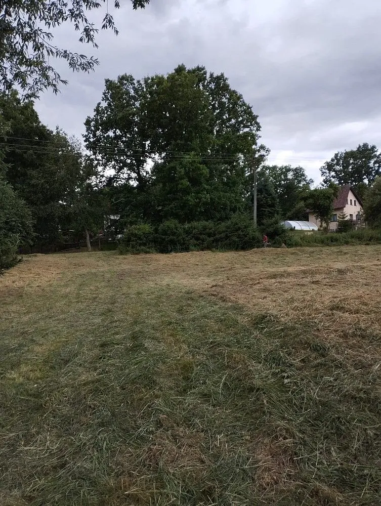 Pronájem pozemku 3000 m², Košetice u Hunčic · Líšťany