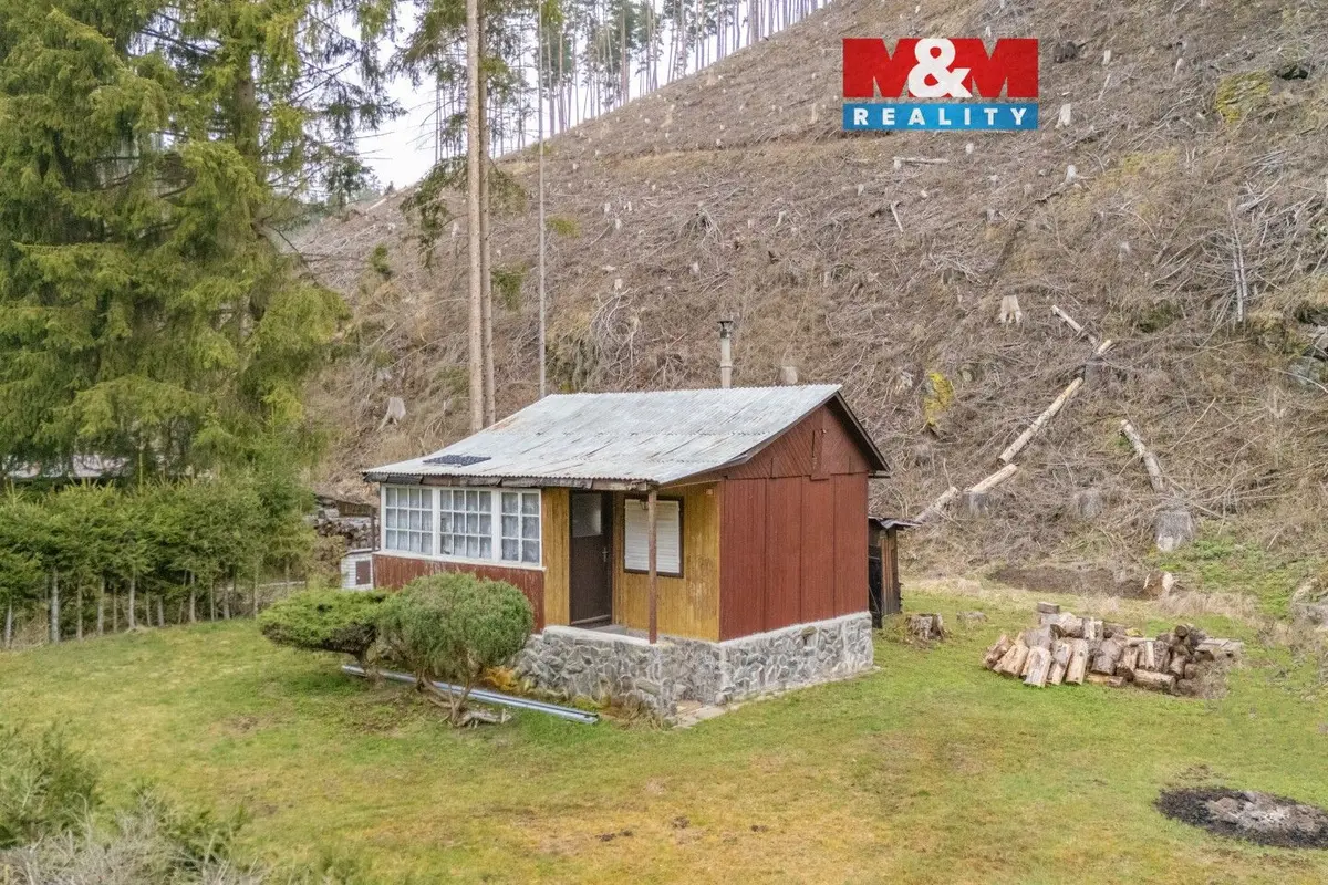 Prodej nemovitosti 30 m², Vížka · Planá