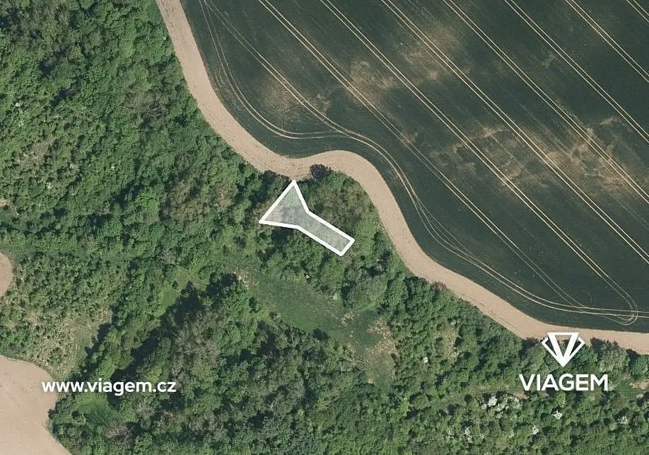 Prodej pozemku 559 m², Hoštice