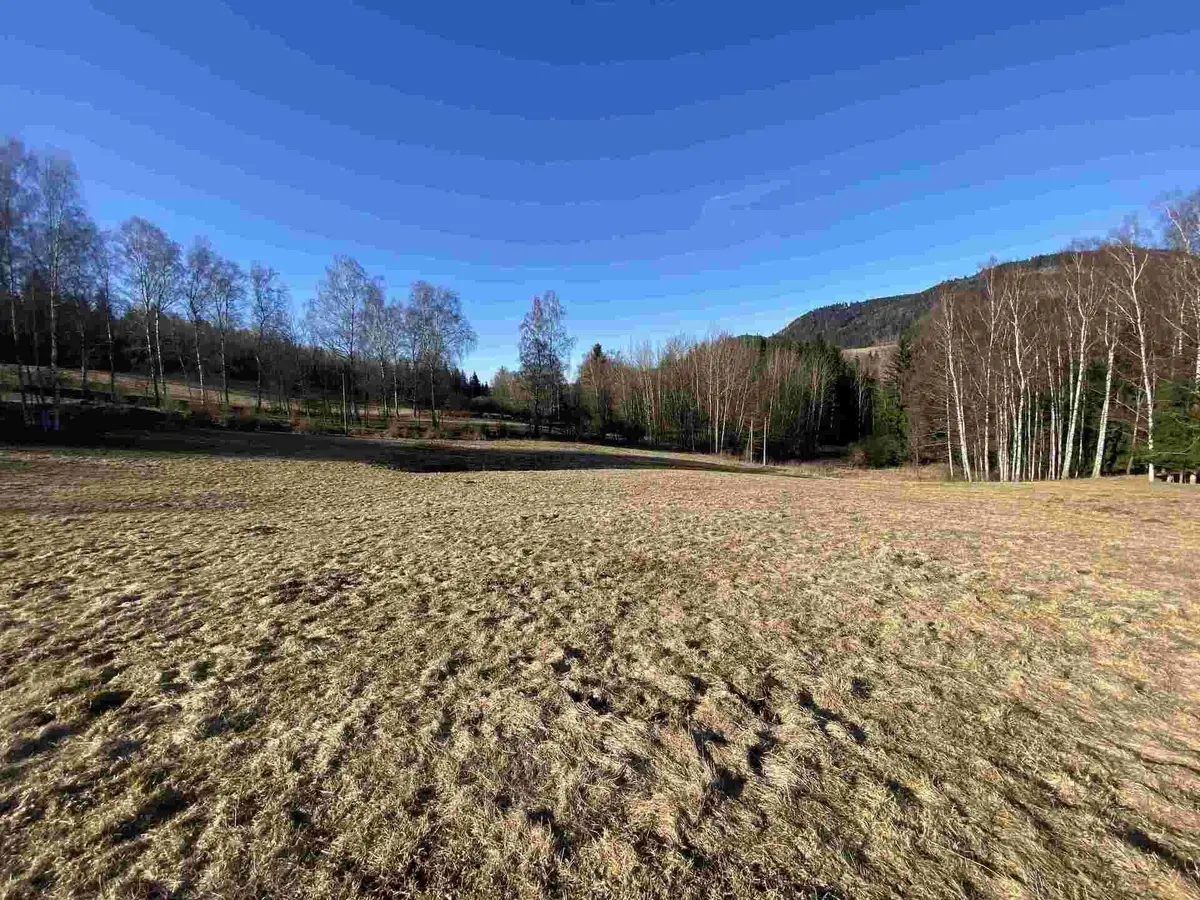 Prodej pozemku 11266 m², Bernartice