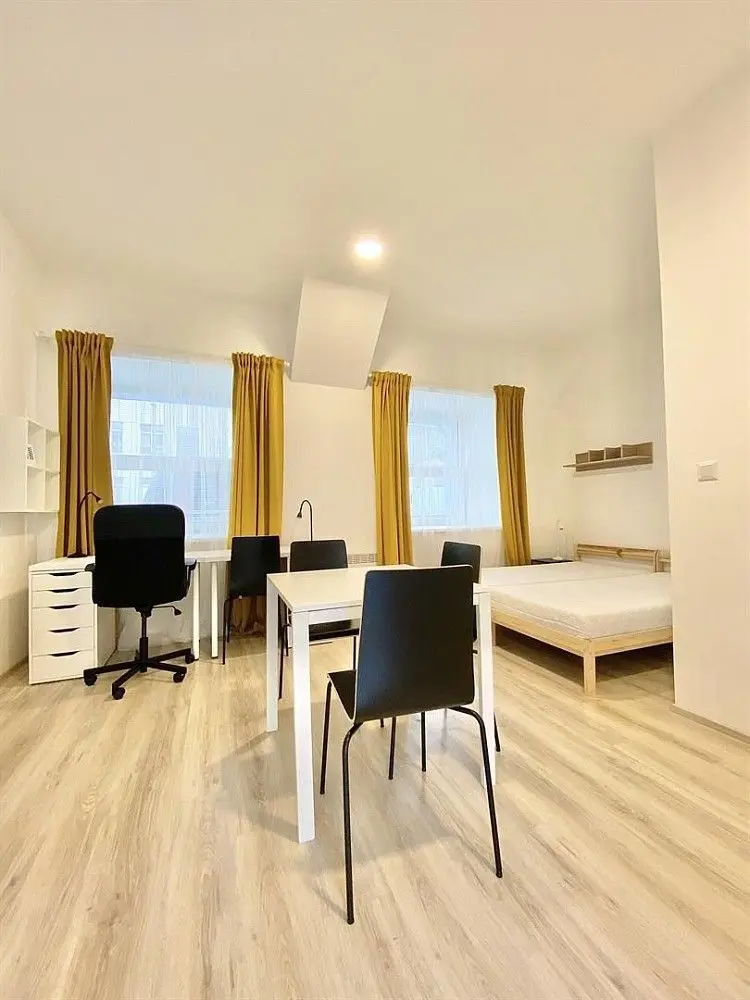 Pronájem bytu 1+kk 25 m², Václavská · Staré Brno · Brno
