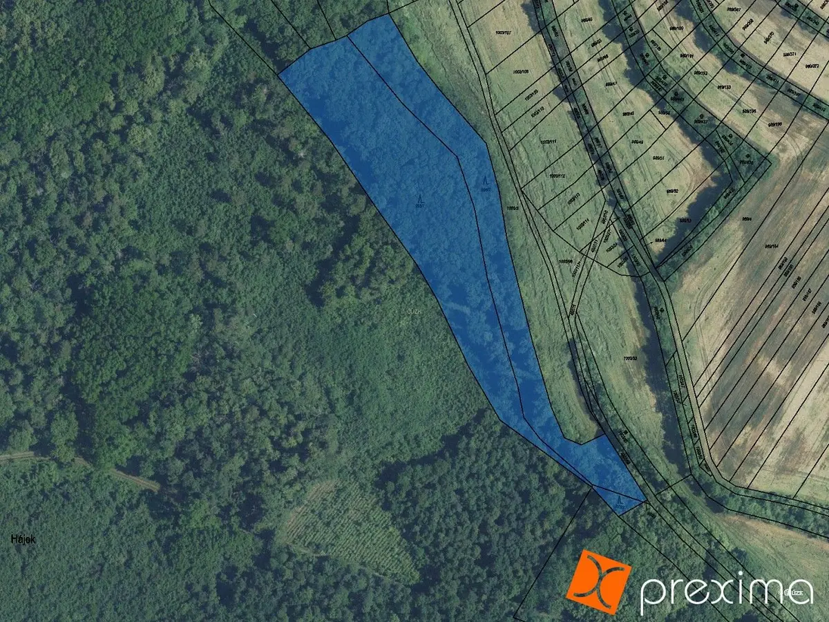 Prodej pozemku 1078 m², Čejkovice