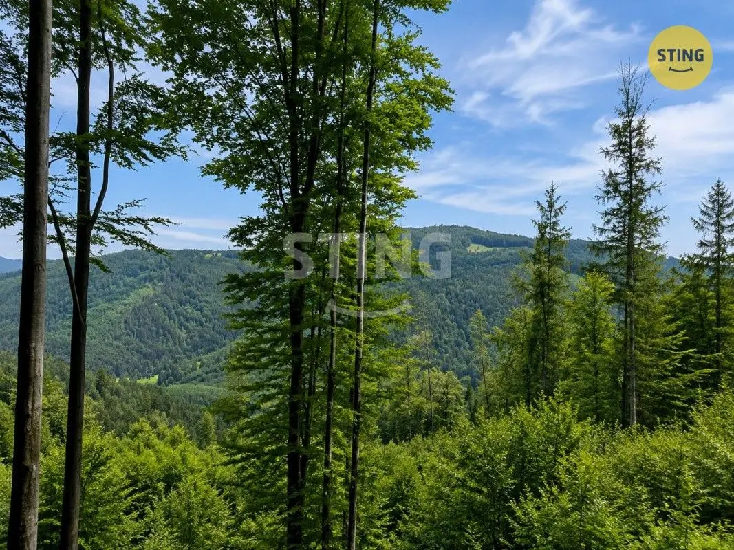 Prodej pozemku 6 m², Košařiska