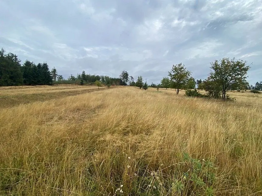 Prodej pozemku 3408 m², Matějovec · Český Rudolec