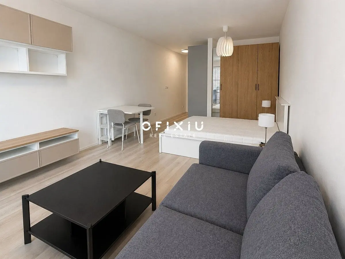 Pronájem bytu 1+kk 29 m², Trnitá · Brno