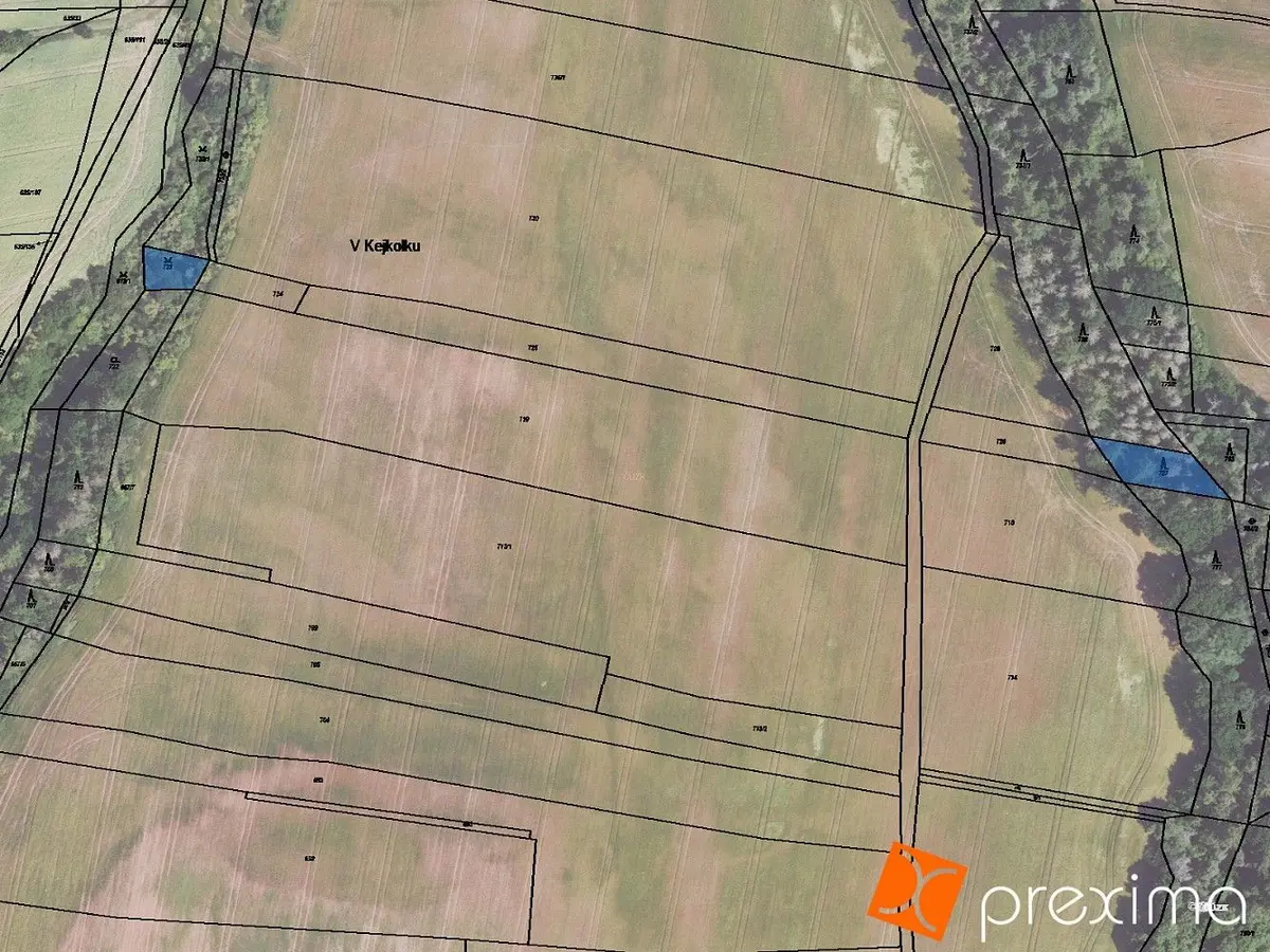 Prodej pozemku 370 m², Plchov