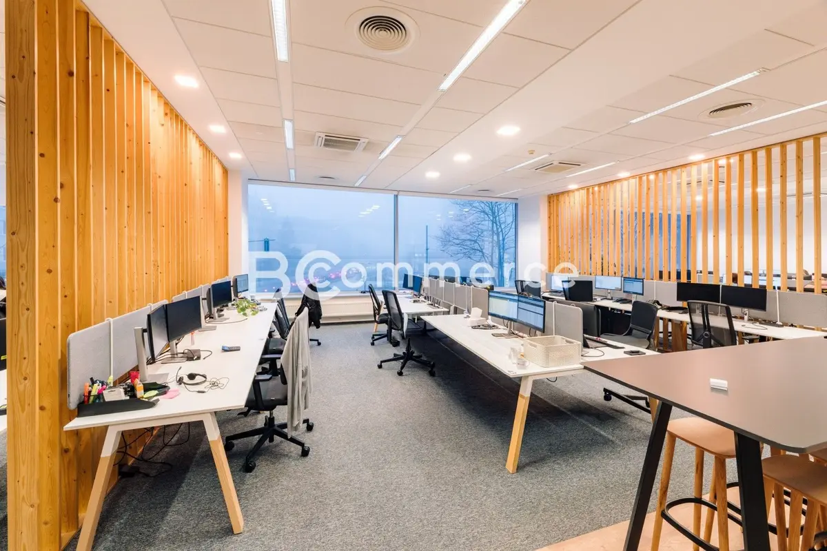 Pronájem komerčního prostoru 570 m², Žabovřesky · Brno