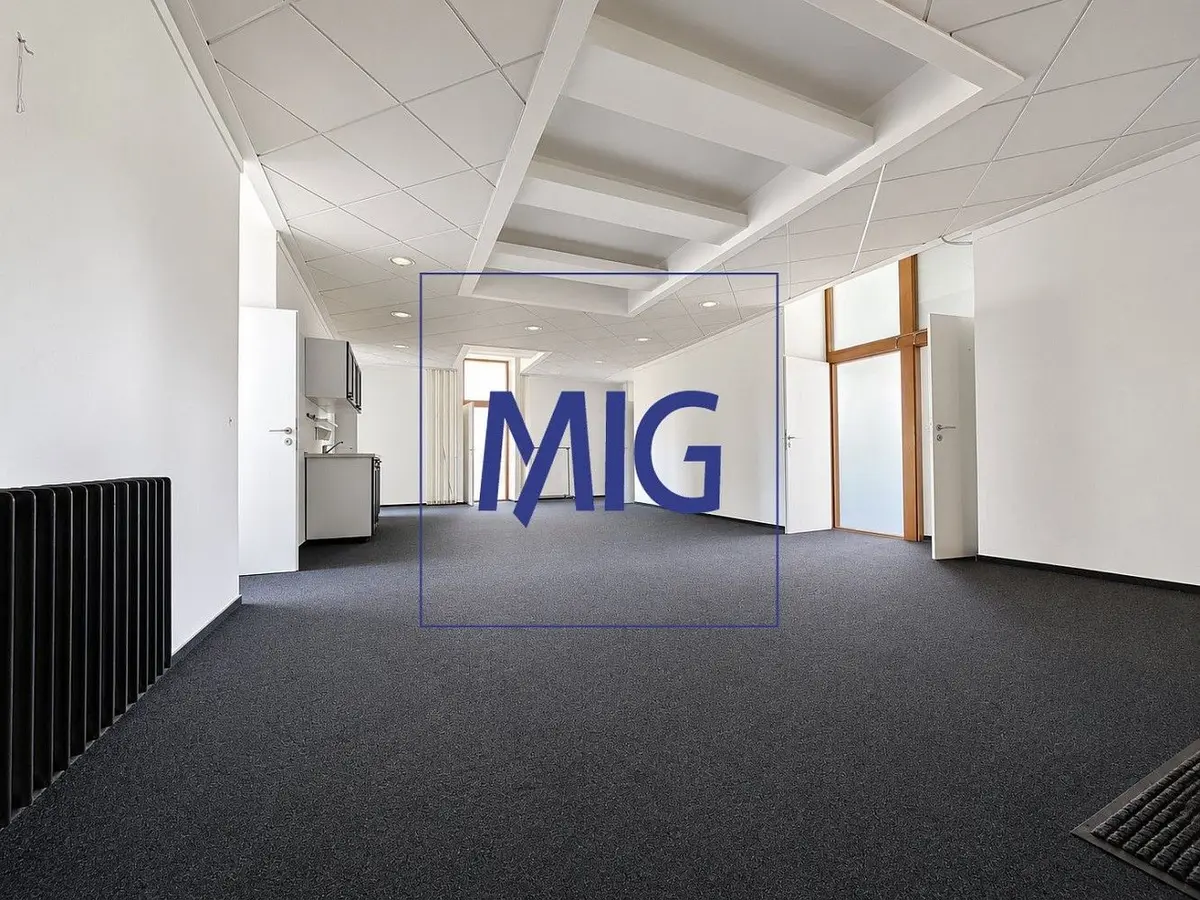 Pronájem komerčního prostoru 364 m², Olomoucká · Černovice · Brno