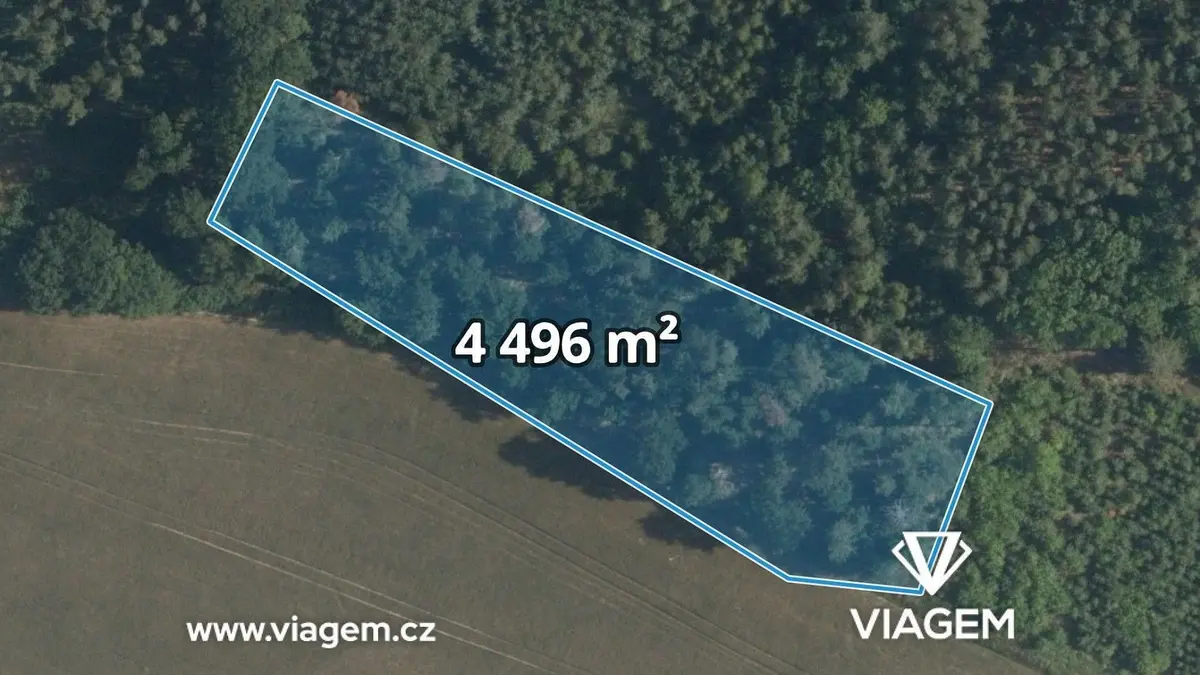 Prodej pozemku 4496 m², Sudovo Hlavno