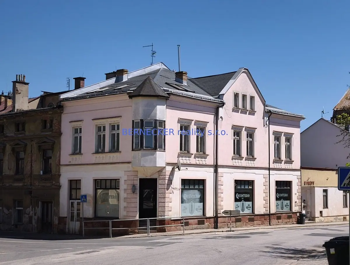 Prodej komerčního prostoru 450 m², Horská · Hostinné
