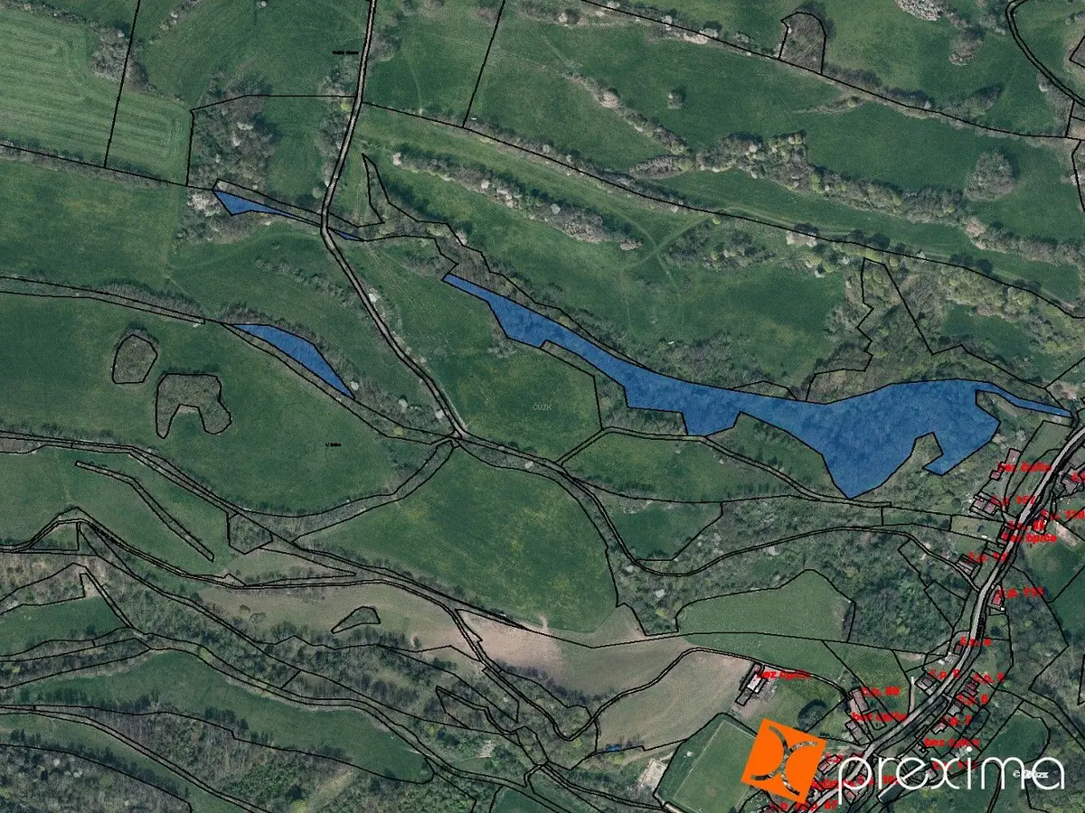 Prodej pozemku 9041 m², Heřmanov