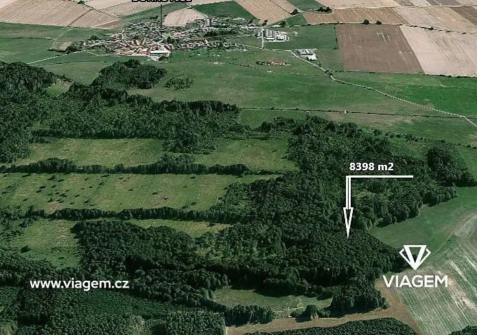 Prodej pozemku 8398 m², Borkovice