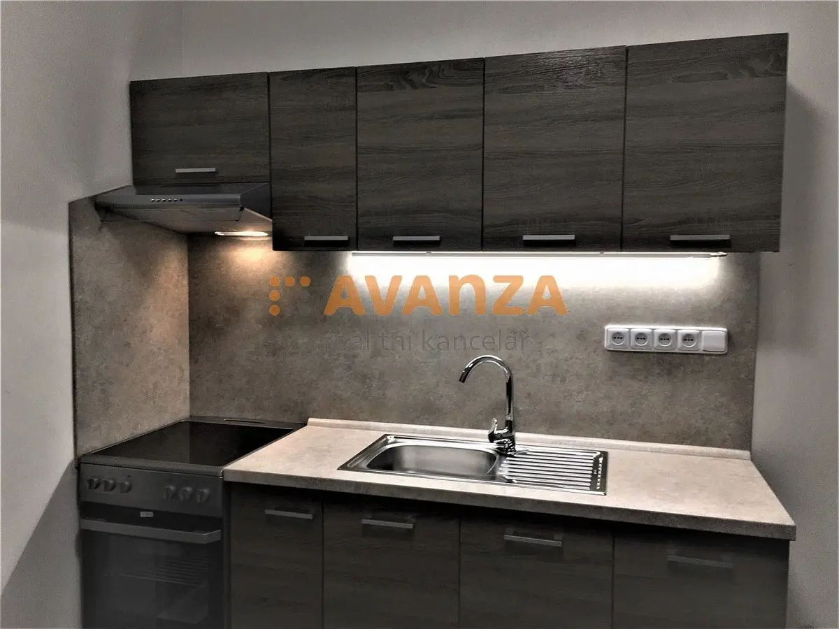 Pronájem bytu 1+1 38 m², Děčín