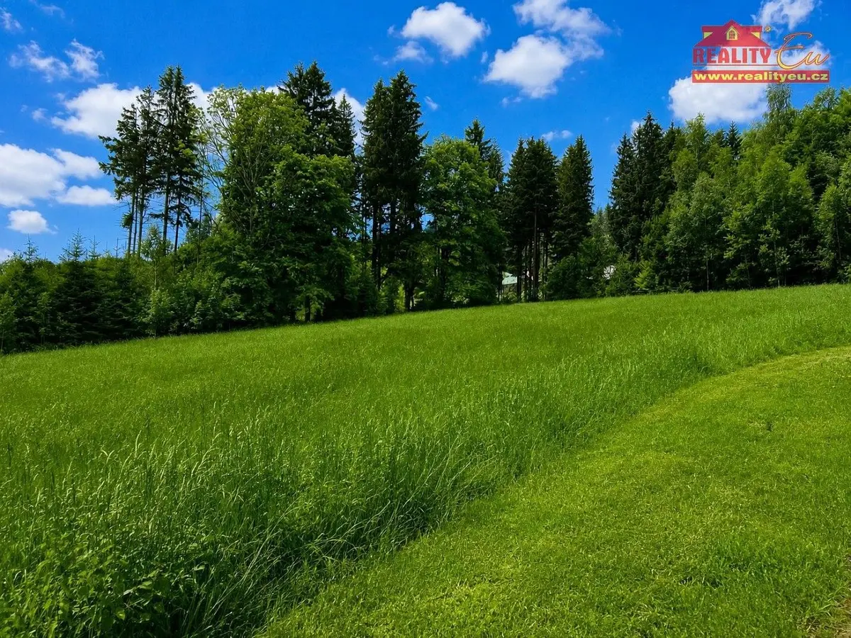 Prodej pozemku 7453 m², Deštné v Orlických horách