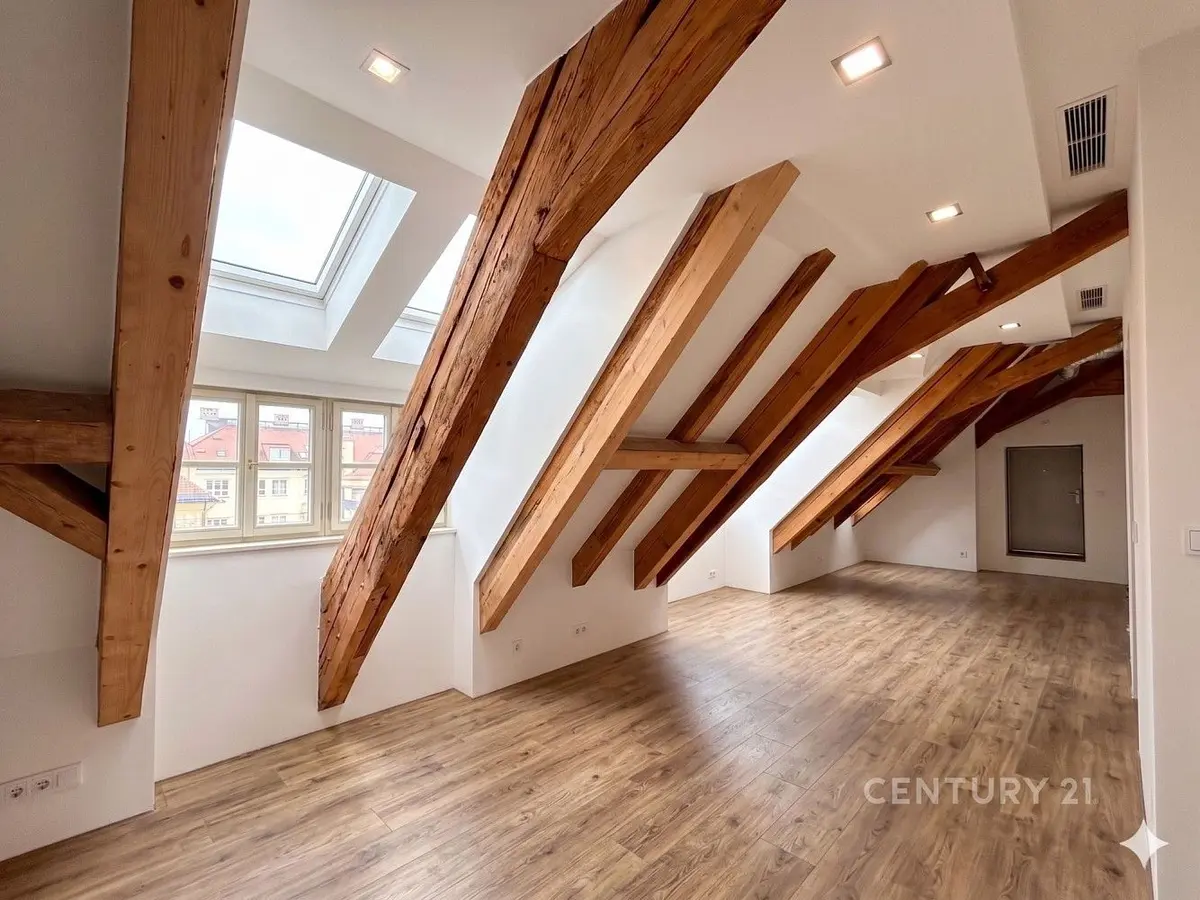 Pronájem komerčního prostoru 154 m², Národní · Nové Město