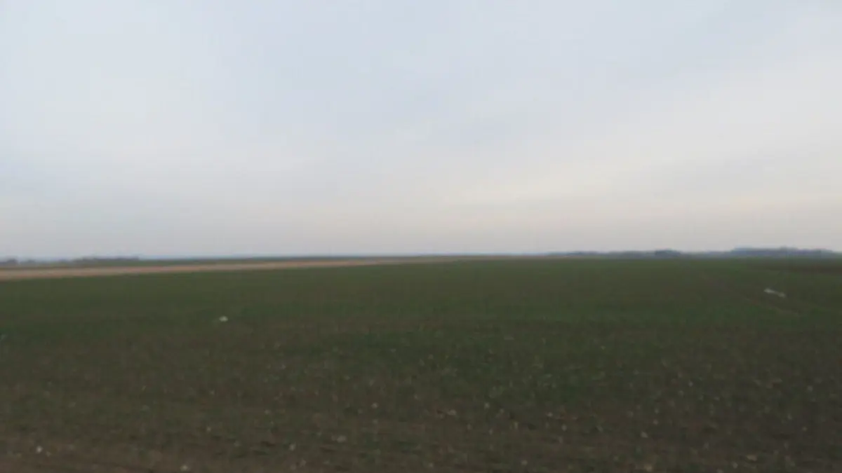 Prodej pozemku 6377 m², Chocenice u Břežan I · Břežany Ⅰ