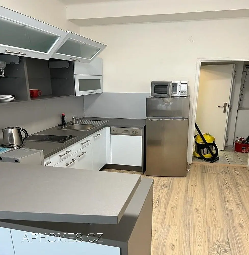Pronájem bytu 1+1 48 m², Křižíkova · Karlín