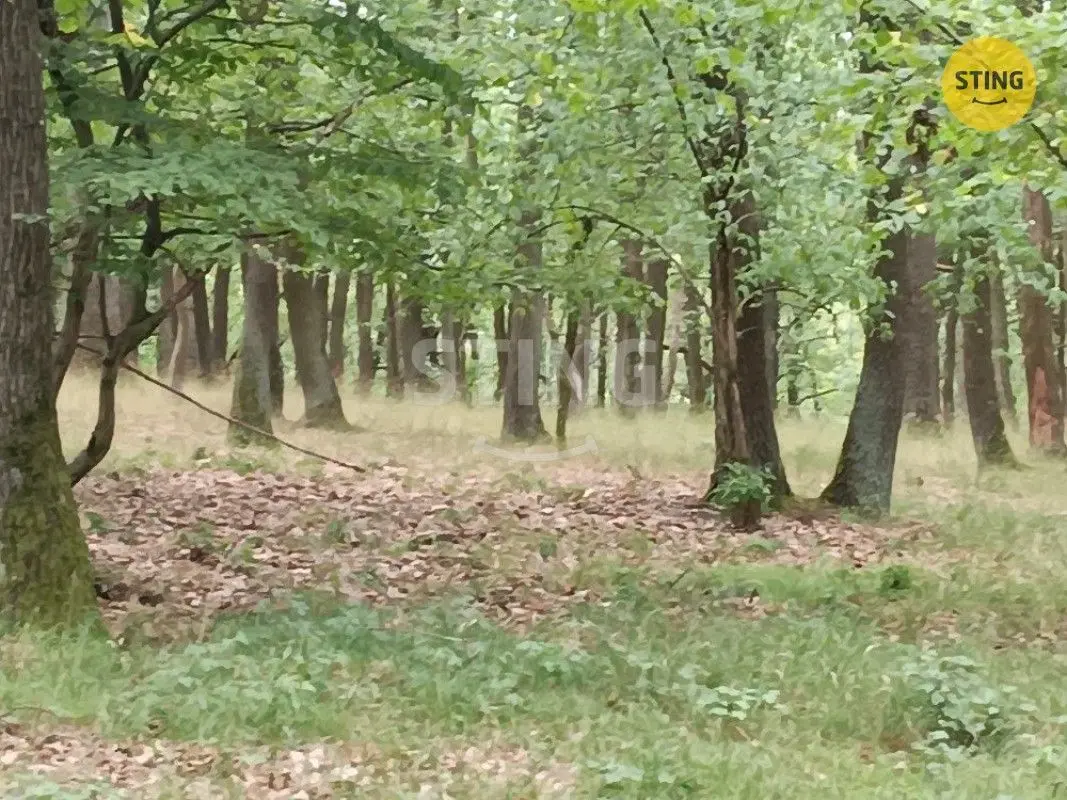 Prodej pozemku 2723 m², Morkůvky