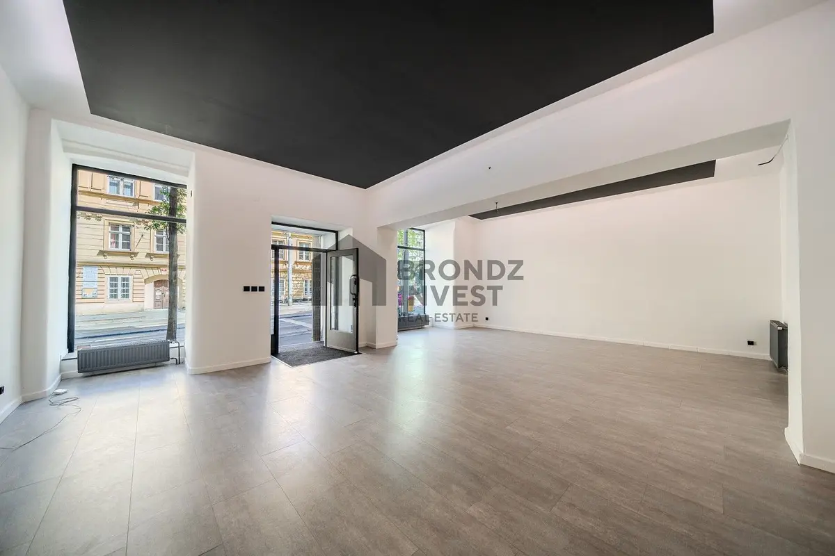 Pronájem komerčního prostoru 253 m², Ječná · Nové Město