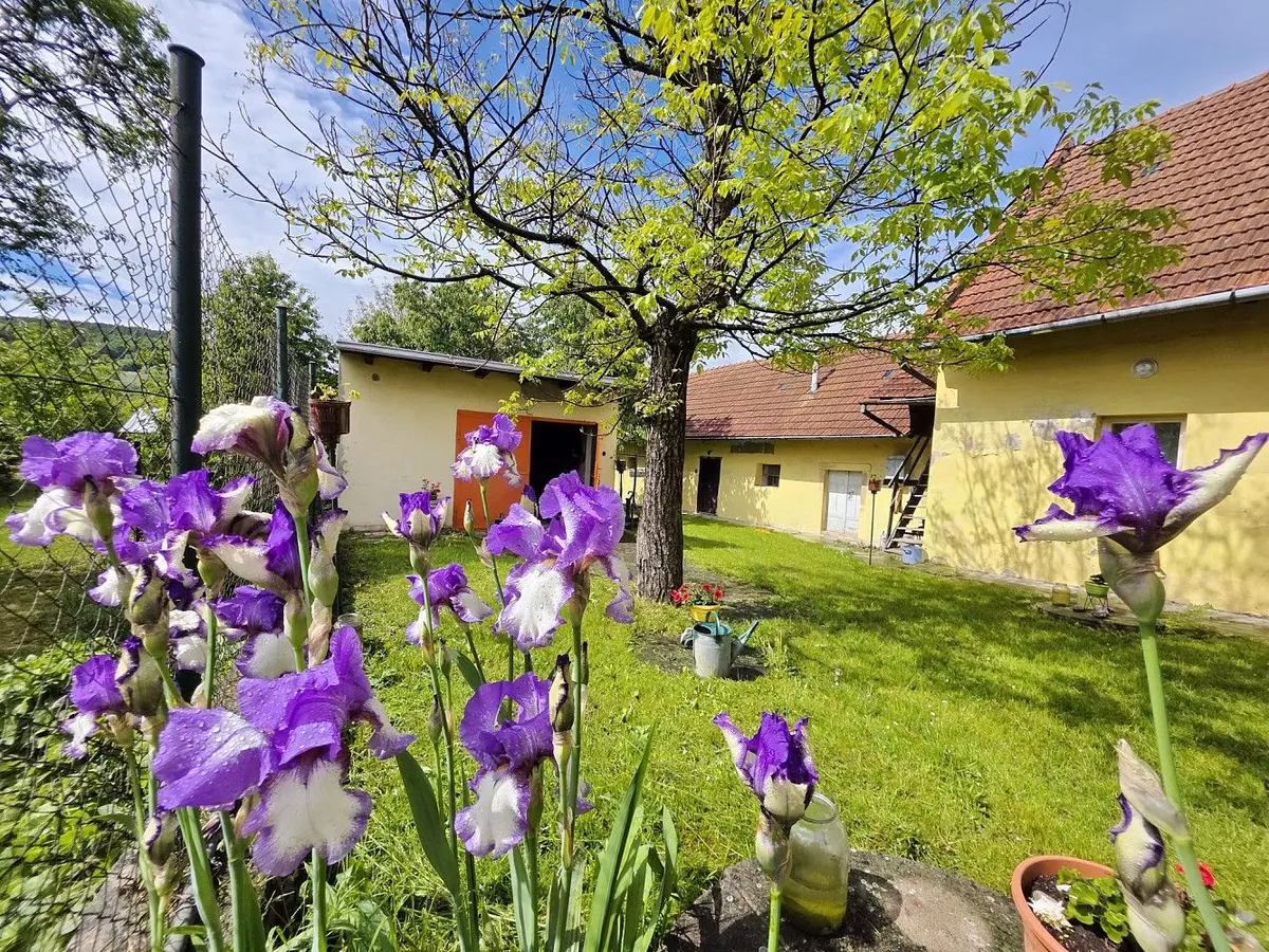 Prodej nemovitosti 700 m², Svárov · Bylnice · Brumov-Bylnice