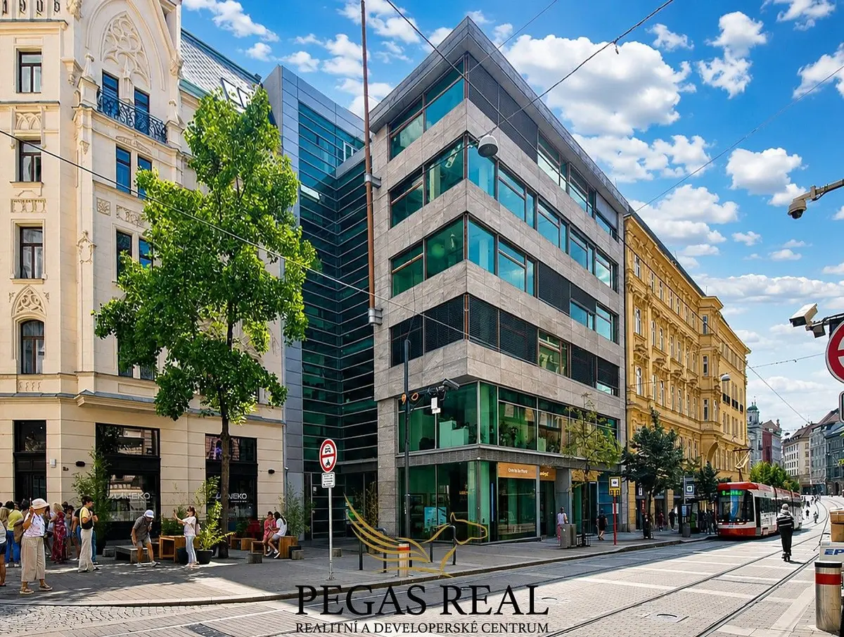 Pronájem komerčního prostoru 177 m², Rašínova · Město Brno · Brno