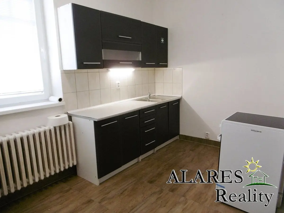 Pronájem bytu 1+1 50 m², Hostavice
