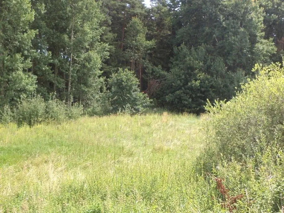 Prodej pozemku 2441 m², Nahý Újezdec · Chodský Újezd